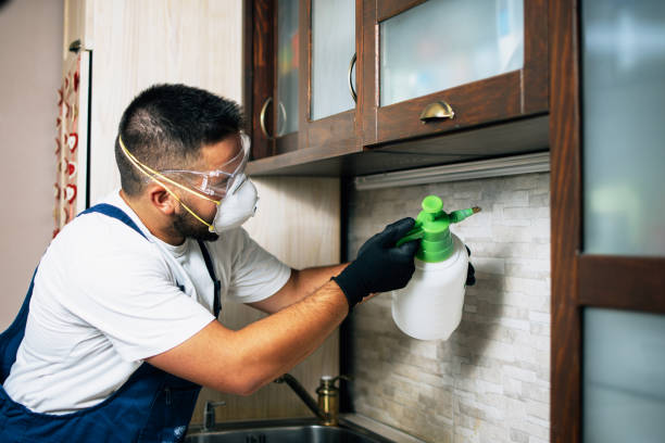 Best Pest Control Near Me  in Bloomfield, IN