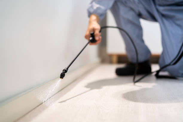Pest Control for Restaurants in Bloomfield, IN