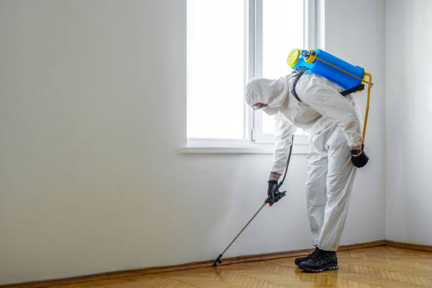 Best Affordable Pest Control Services  in Bloomfield, IN