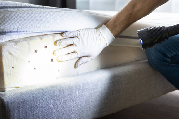 Best Flea Control Services  in Bloomfield, IN