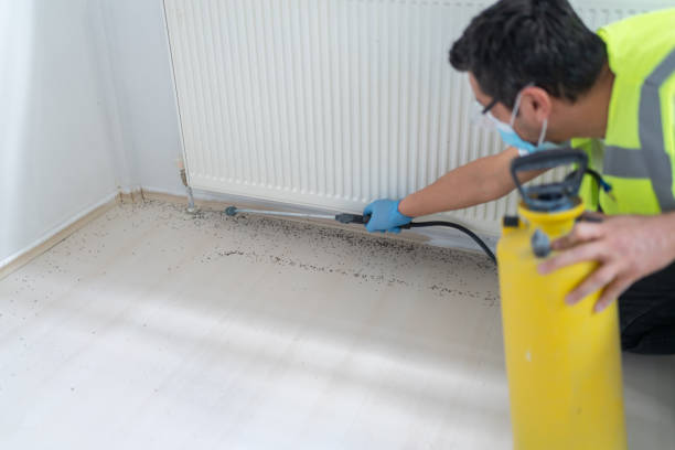 Best Mosquito Control Services  in Bloomfield, IN